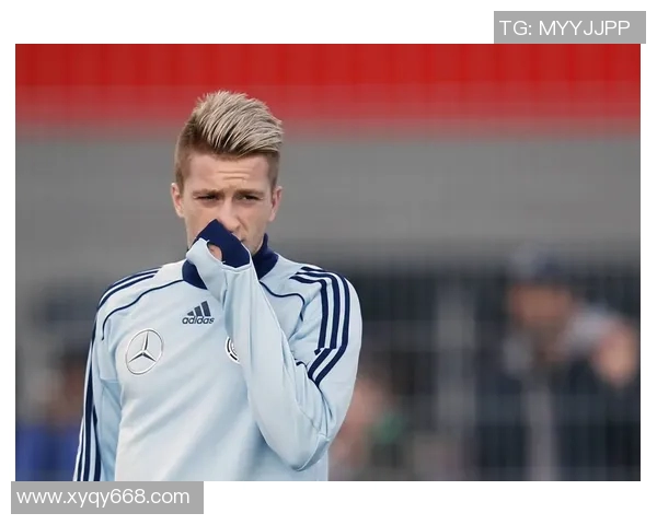 野猪足球天赋惊人新星崛起 专家点评其场上表现引发热议